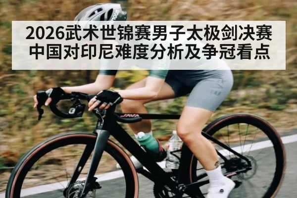 2026武术世锦赛男子太极剑决赛中国对印尼难度分析及争冠看点