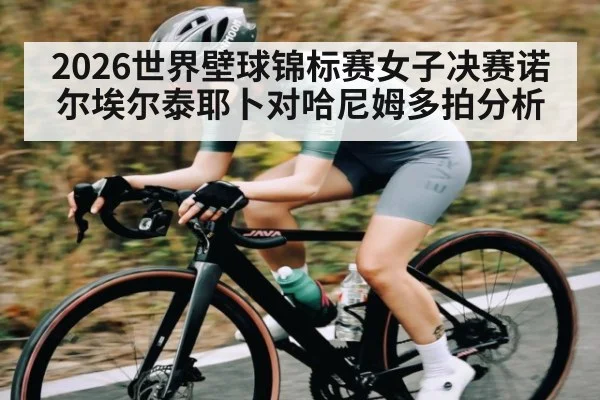 2026世界壁球锦标赛女子决赛诺尔埃尔泰耶卜对哈尼姆多拍分析